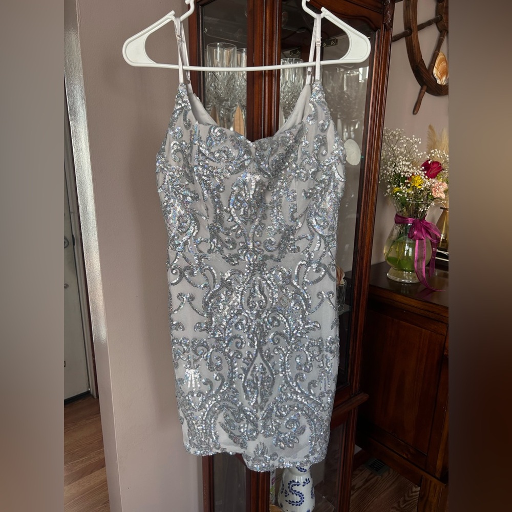 Silver sparkle dress